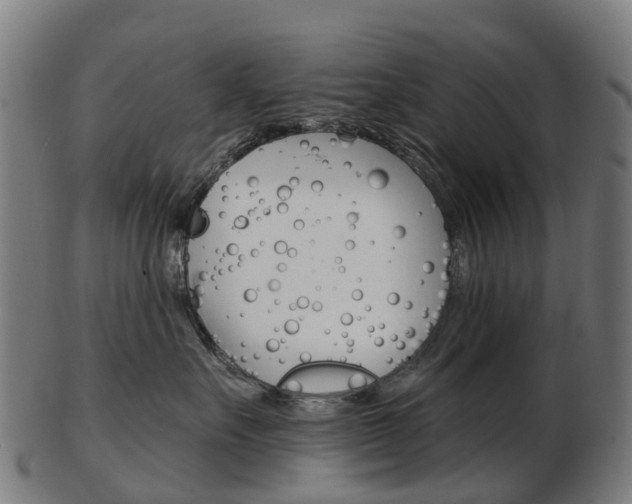 X0000103490527200809120953