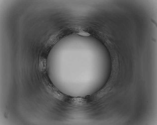 X0000103490528200809120953
