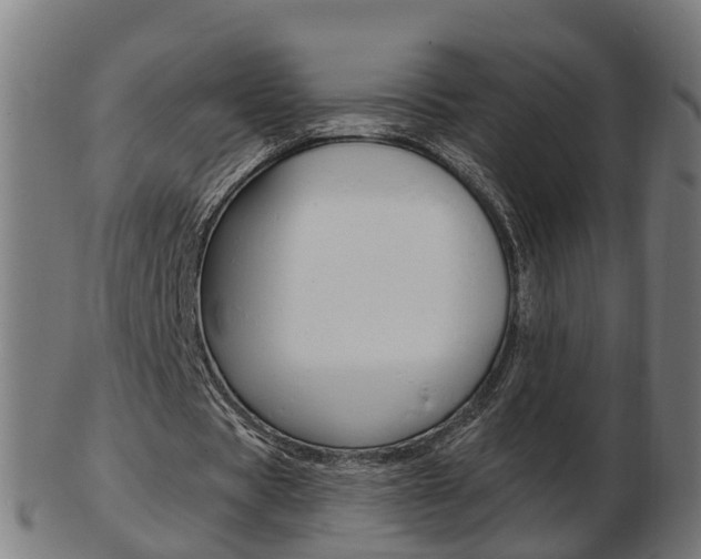 X0000103490529200809120952