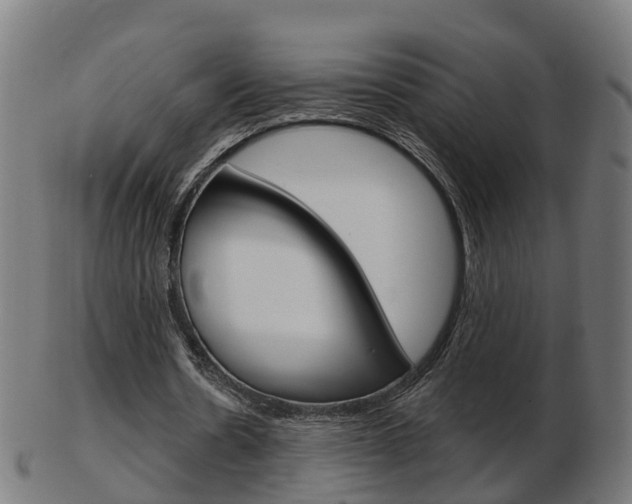 X0000103490530200809120952