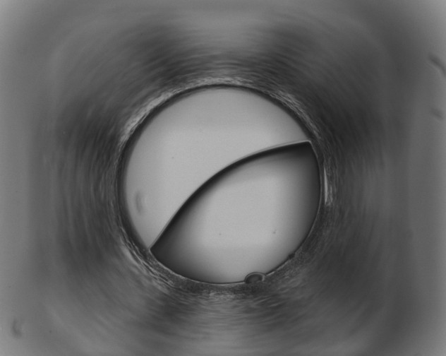 X0000103490531200809120952