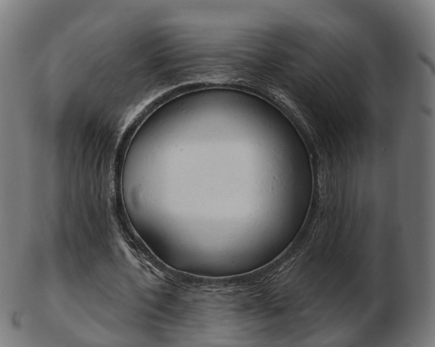 X0000103490532200809120952