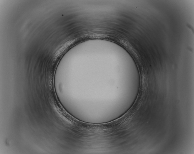 X0000103490533200809120952