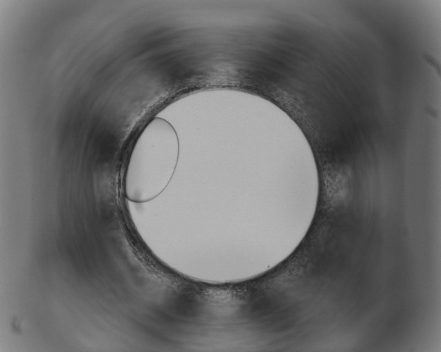 X0000103490534200809120952