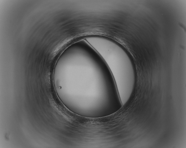 X0000103490535200809120952