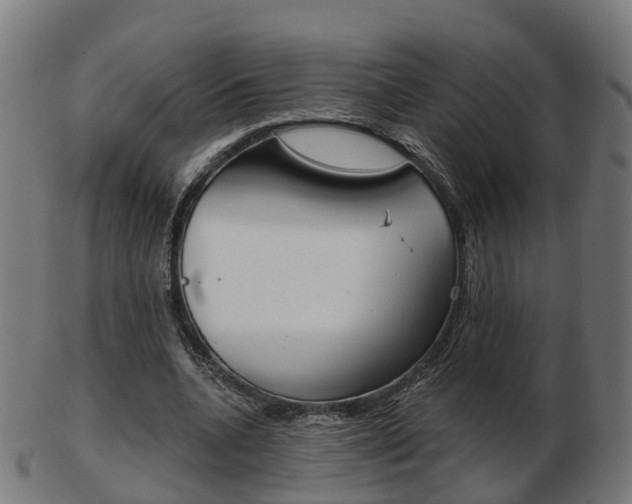 X0000103490536200809120952