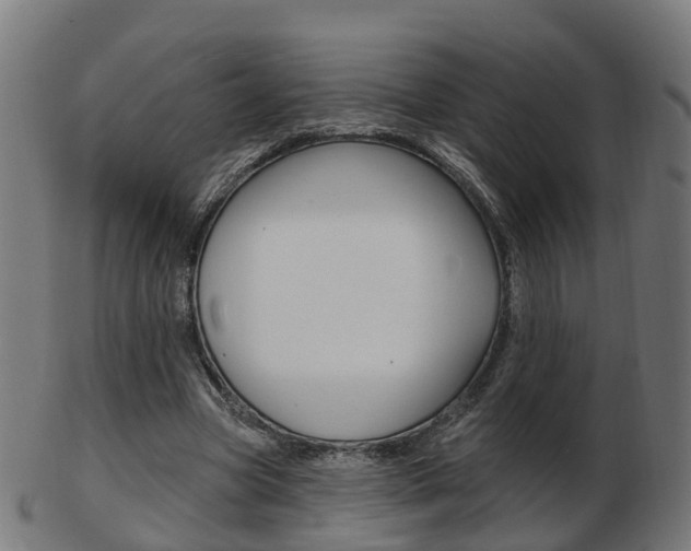 X0000103490537200809120952