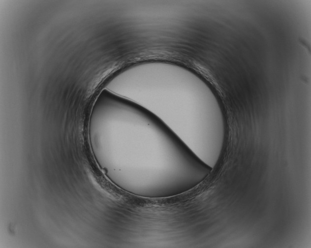 X0000103490538200809120952