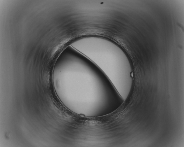 X0000103490539200809120952