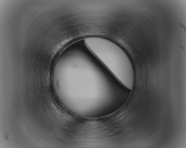 X0000103490540200809120952