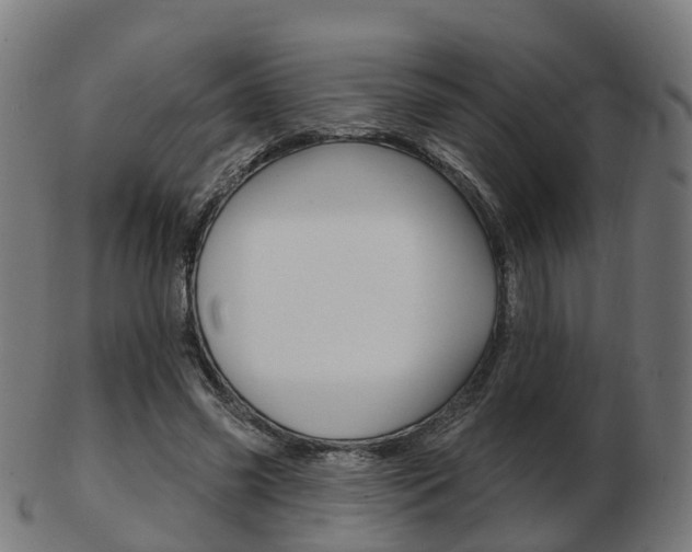 X0000103490541200809120952