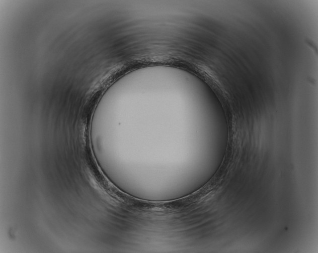 X0000103490542200809120952