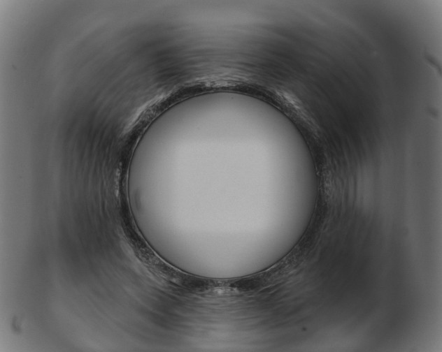 X0000103490543200809120952