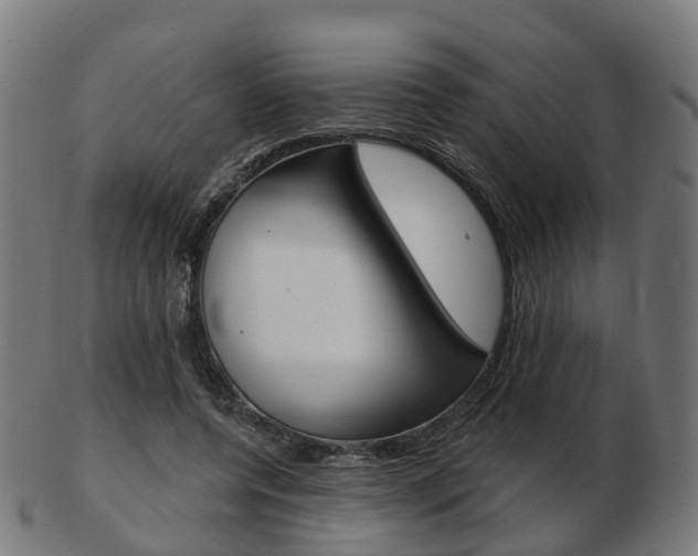 X0000103490544200809120952