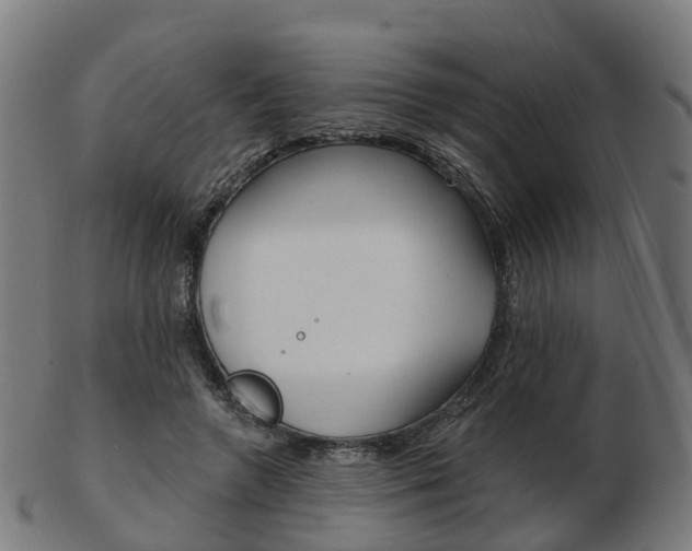 X0000103490546200809120952