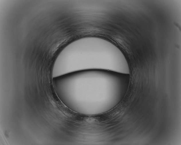 X0000103490547200809120952
