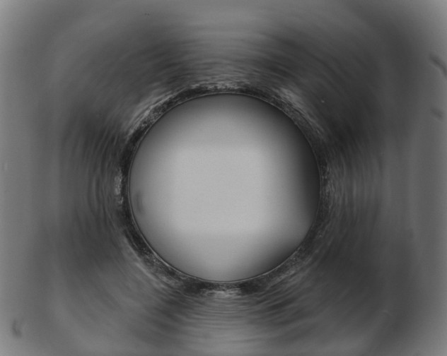 X0000103490548200809120952