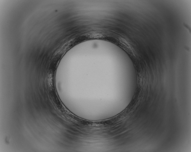 X0000103490549200809120952