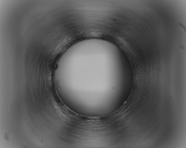 X0000103490552200809120952