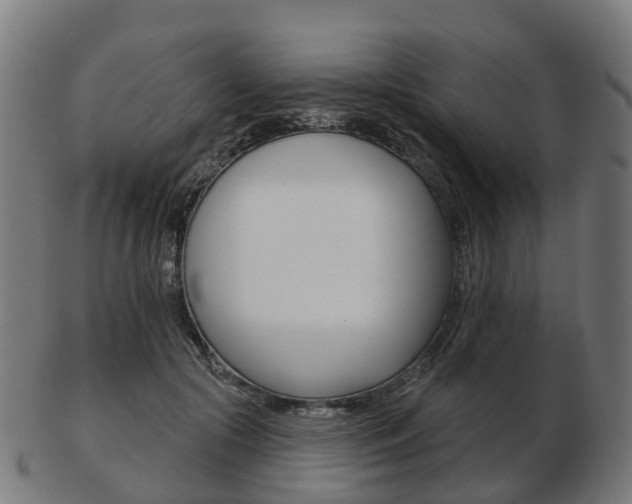 X0000103490553200809120952