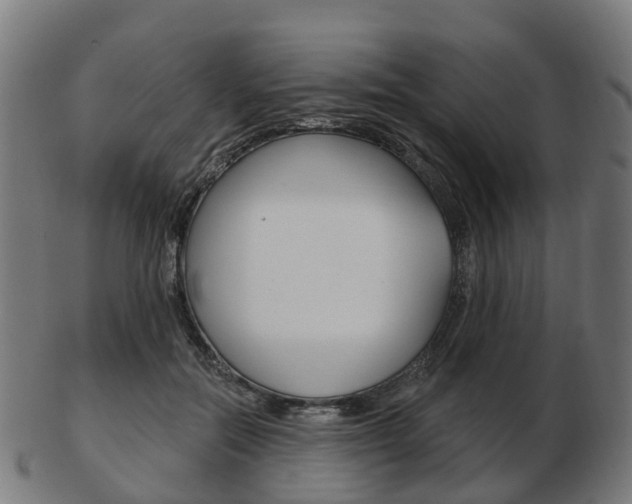 X0000103490554200809120952