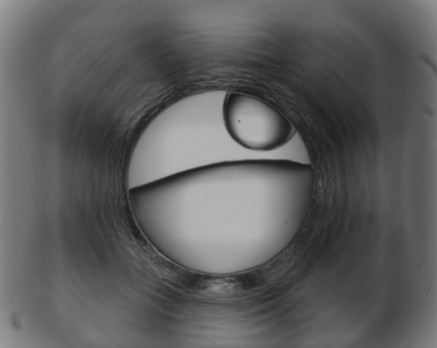 X0000103490555200809120952