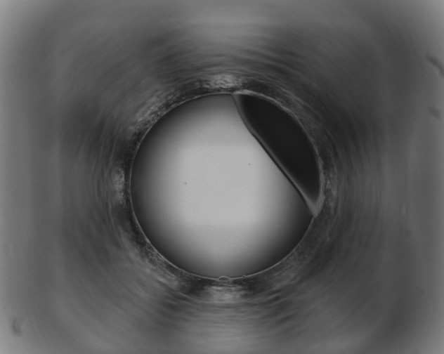 X0000103490556200809120952