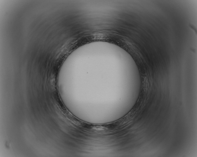 X0000103490557200809120952