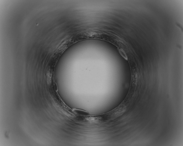 X0000103490558200809120952