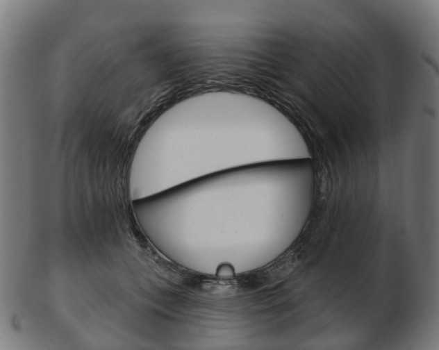 X0000103490559200809120952