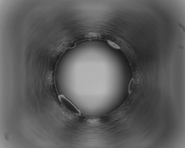 X0000103490560200809120952
