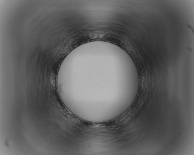 X0000103490561200809120952