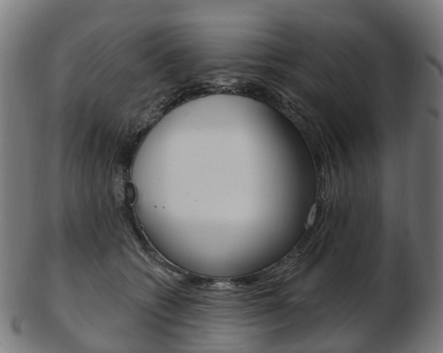 X0000103490562200809120952