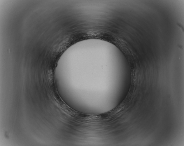 X0000103490563200809120952