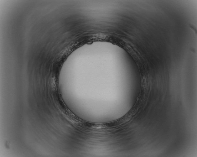 X0000103490564200809120953