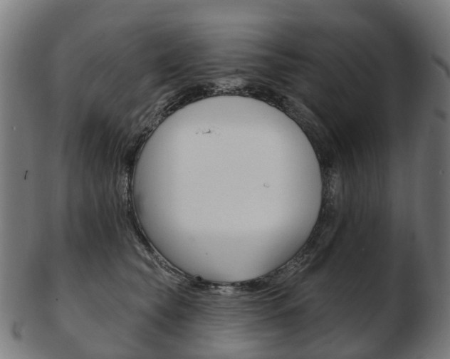 X0000103490565200809120953