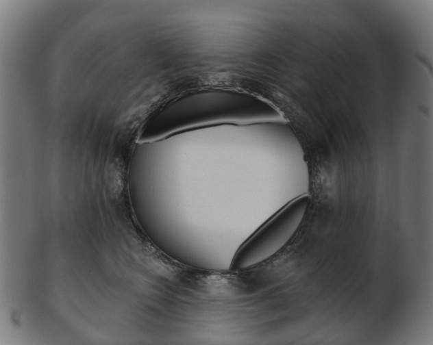 X0000103490566200809120953