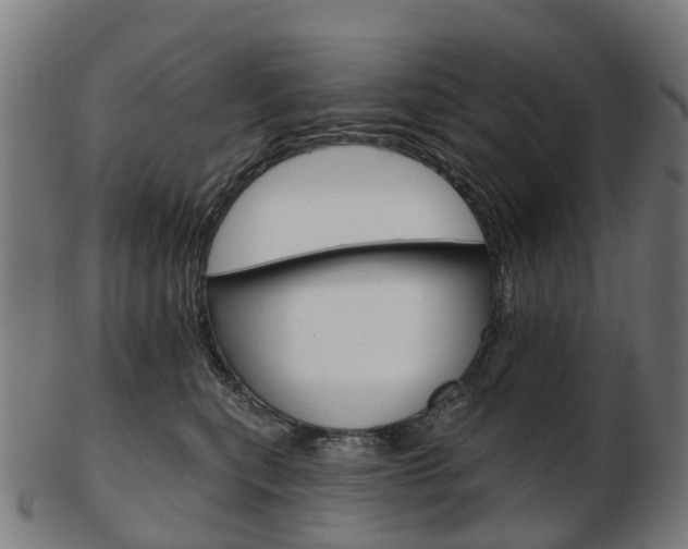X0000103490567200809120953