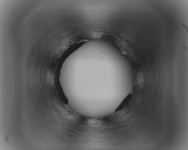 X0000103490568200809120953