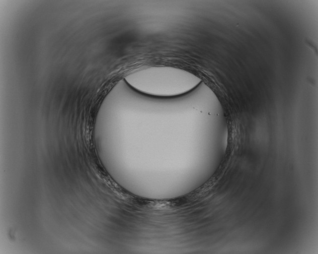 X0000103490569200809120953