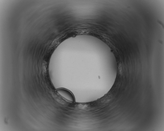 X0000103490570200809120953