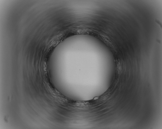 X0000103490571200809120953