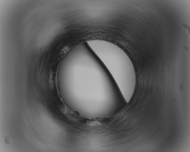 X0000103490572200809120953