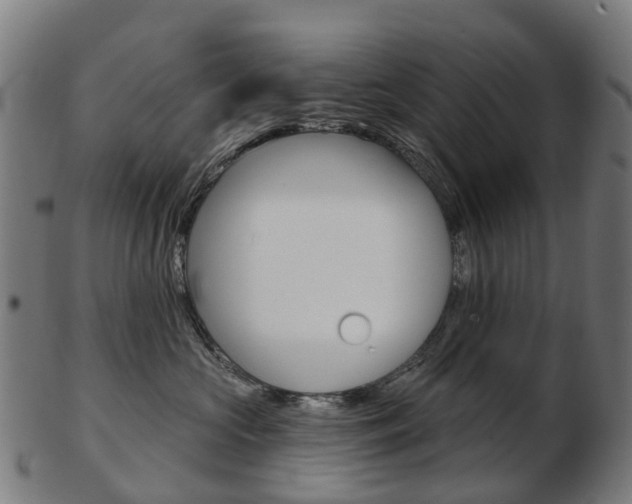 X0000103490573200809120953
