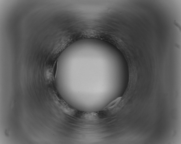 X0000103490576200809120953