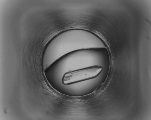 X0000103490577200809120952