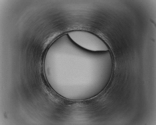 X0000103490578200809120952