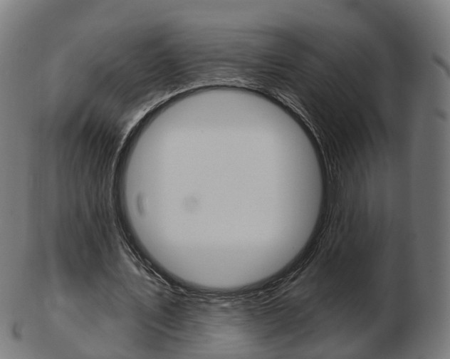 X0000103490579200809120952