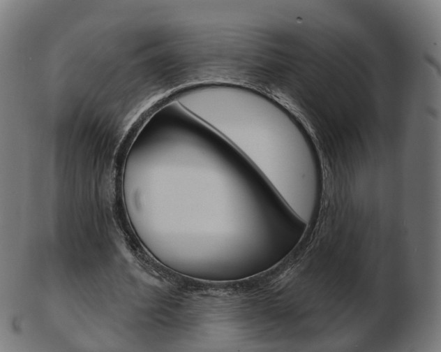X0000103490580200809120952