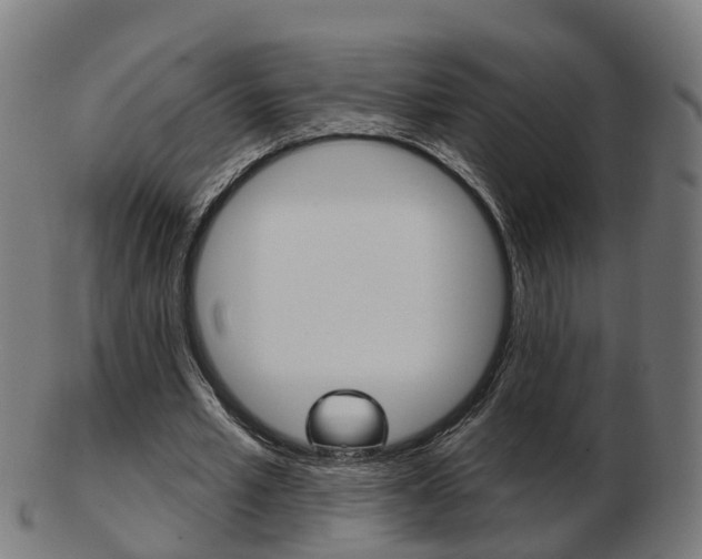 X0000103490581200809120952